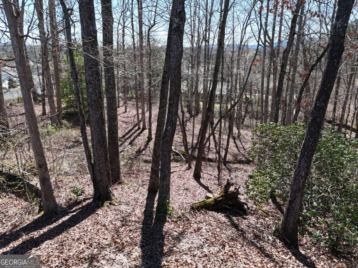 Blue Ridge Village - Land