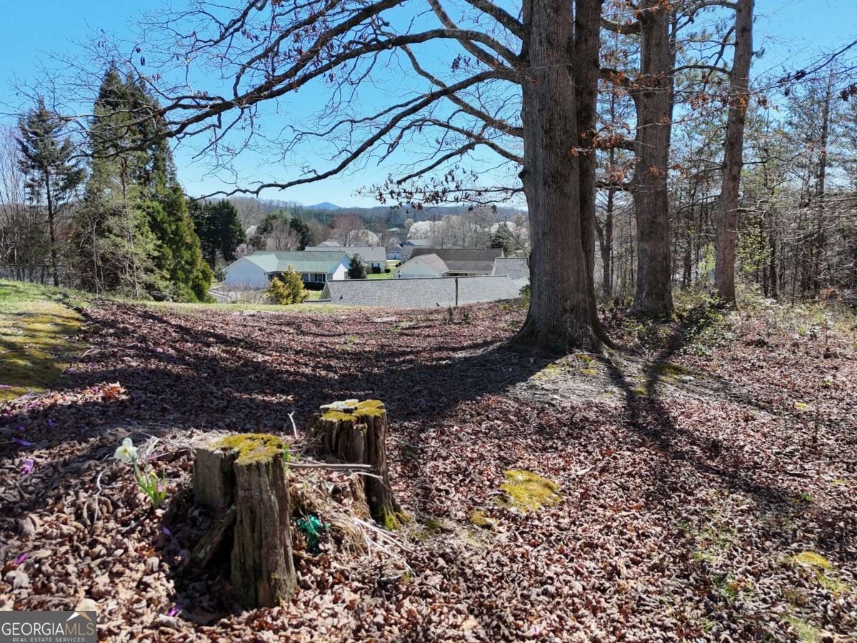 Blue Ridge Village - Land