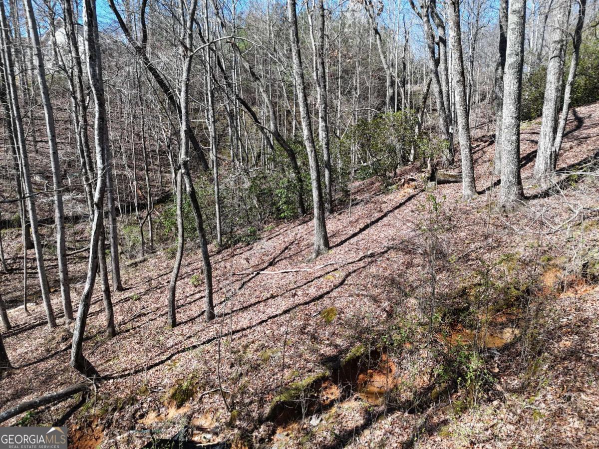 Blue Ridge Village - Land