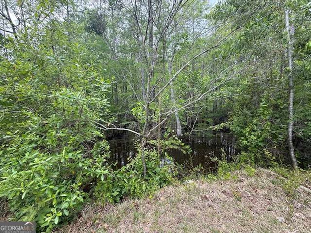 Photo of 344 Pleasure Lake Lane #21, Ocilla, GA 31774 (MLS # 10738827)