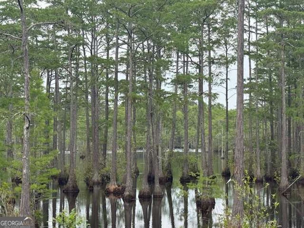 Photo of 344 Pleasure Lake Lane #21, Ocilla, GA 31774 (MLS # 10738827)