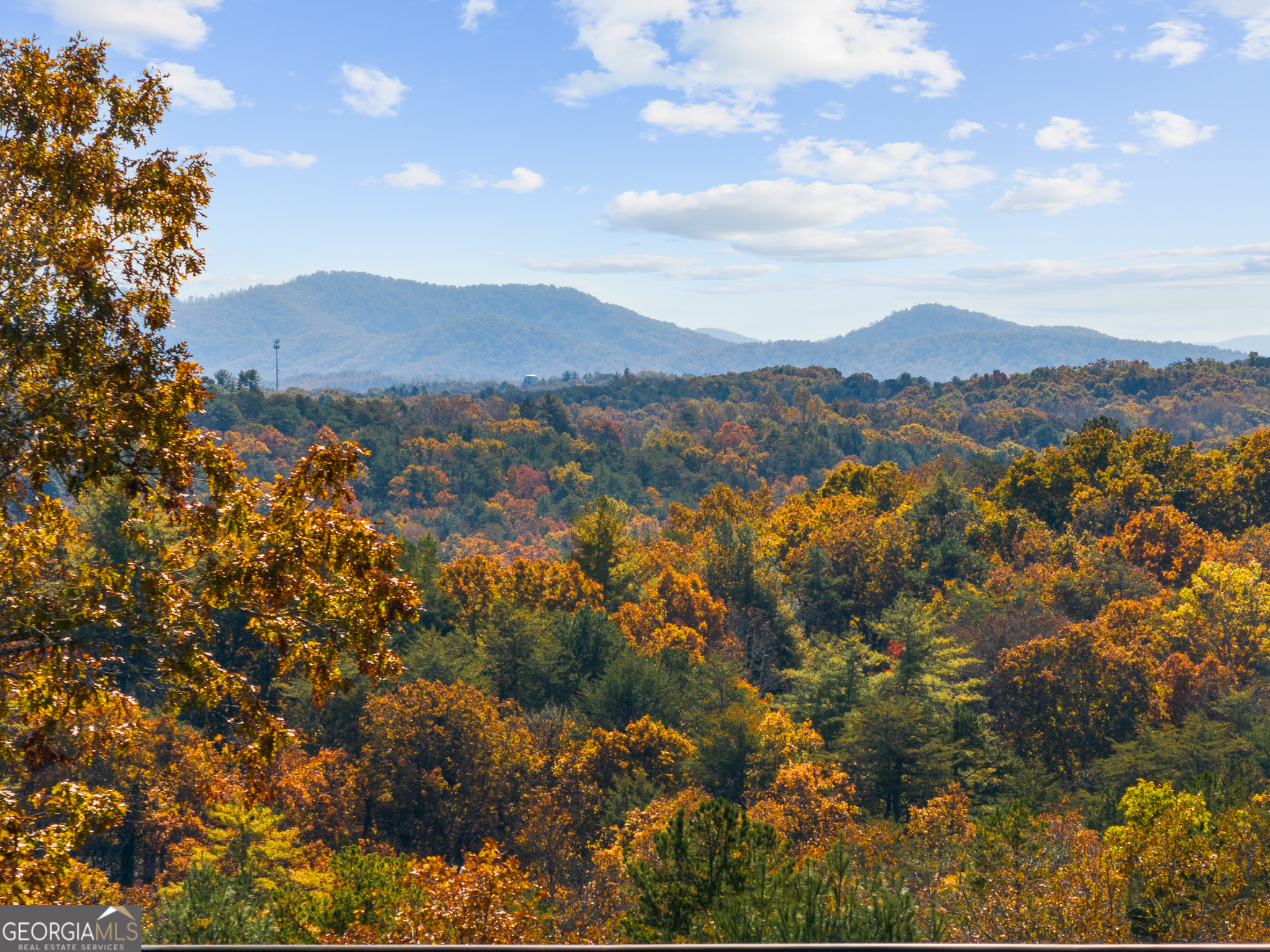 2486524442 Homes for Sale