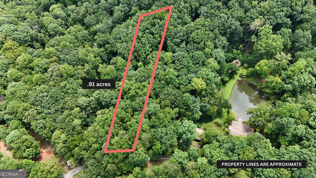 Photo of 105 Wooten Road, Cleveland, GA 30528 (MLS # 10854063)
