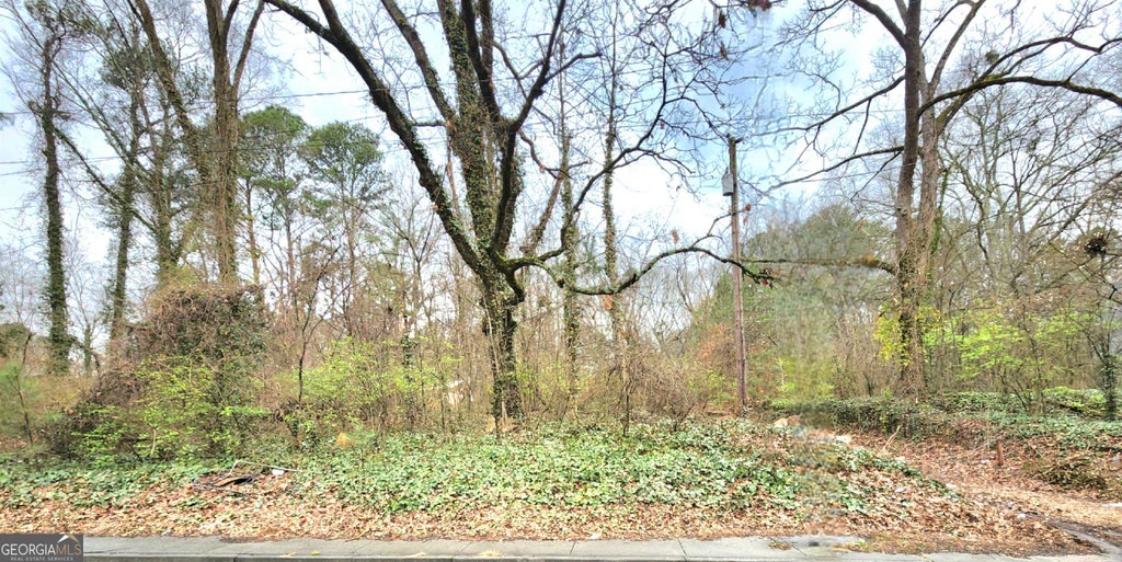Photo of 0 Jonesboro Road, Atlanta, GA 30354 (MLS # 20166054)
