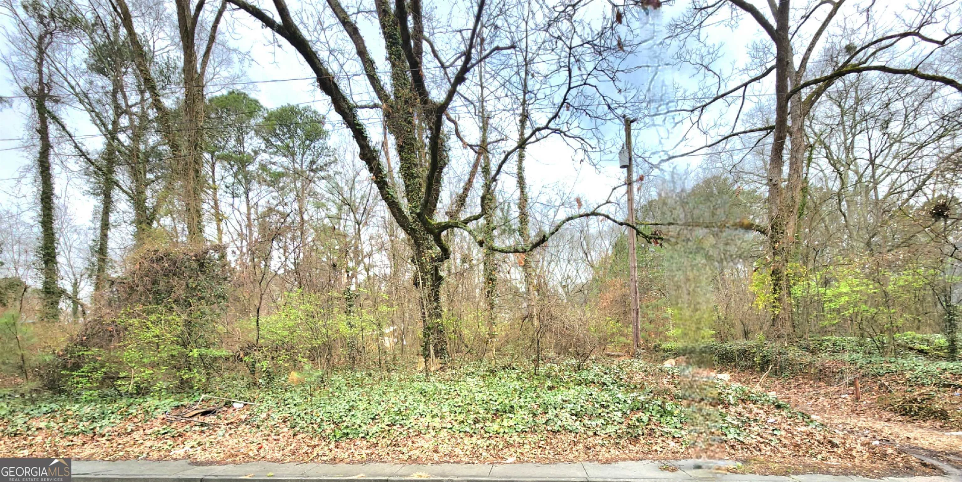 0 Jonesboro Road