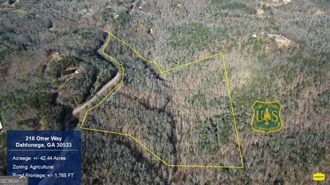 218 Otter WAY Dahlonega GA 30533