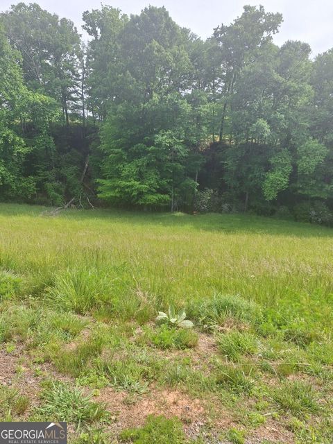 Photo of 67 Hillside Court DR, Morganton, GA 30560 (MLS # 10763203)