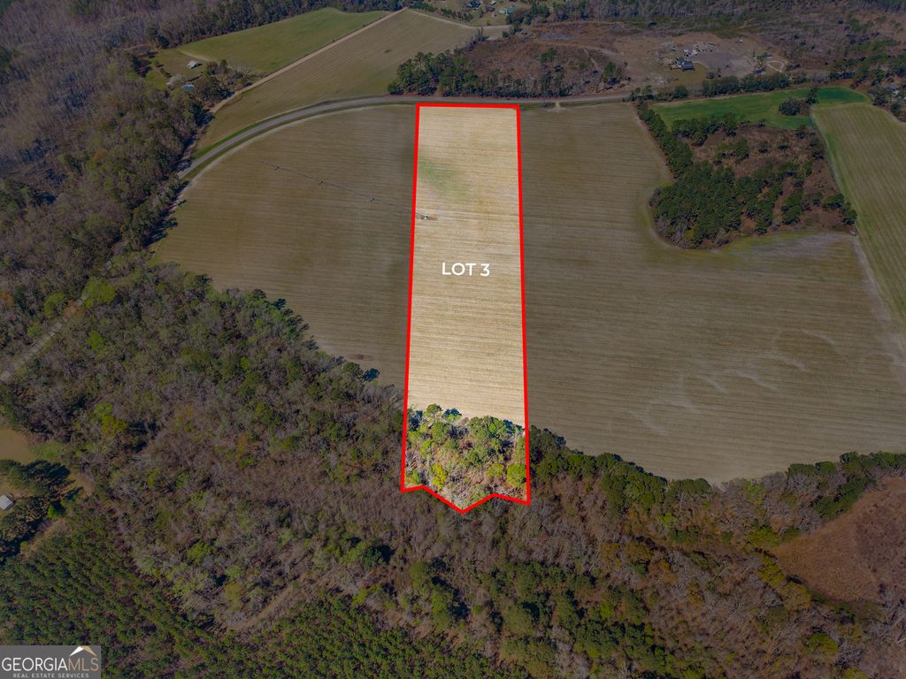 Photo of 0 Stilson Leefield Rd Lot 3, Brooklet, GA 30415 (MLS # 10717741)