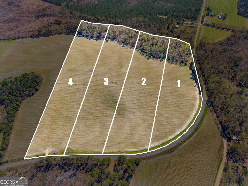 Photo of 0 Stilson Leefield Rd Lot 3, Brooklet, GA 30415 (MLS # 10717741)