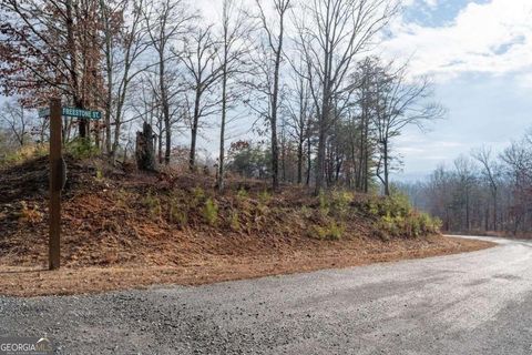 Photo of 0 Freestone Street, Talking Rock, GA 30175 (MLS # 10678353)