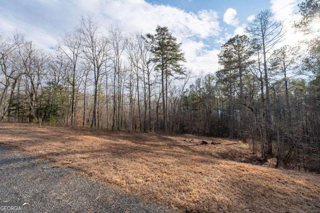 Photo of 0 Freestone Street, Talking Rock, GA 30175 (MLS # 10678353)