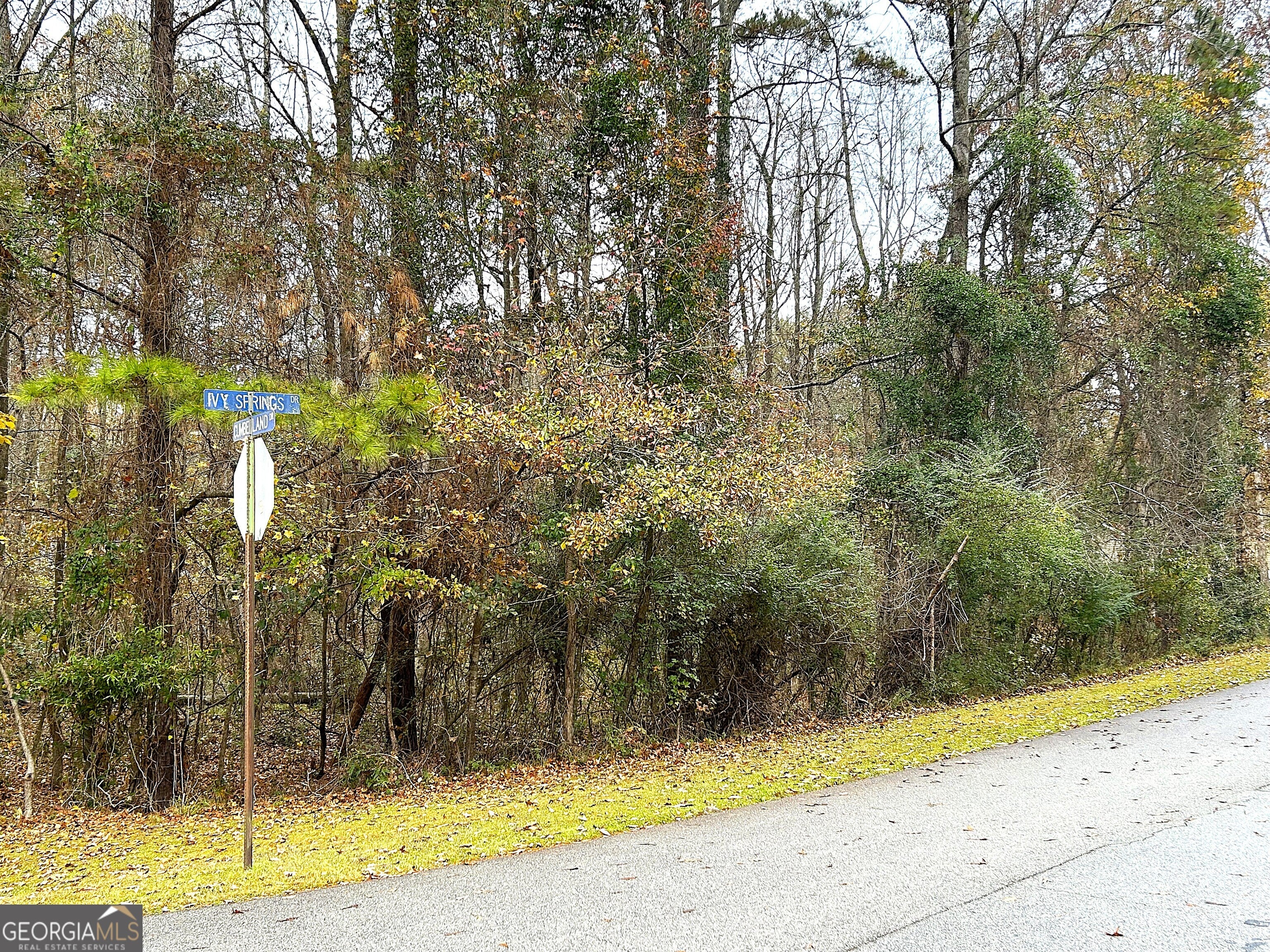 101 Ivy Springs DR - Photo 3