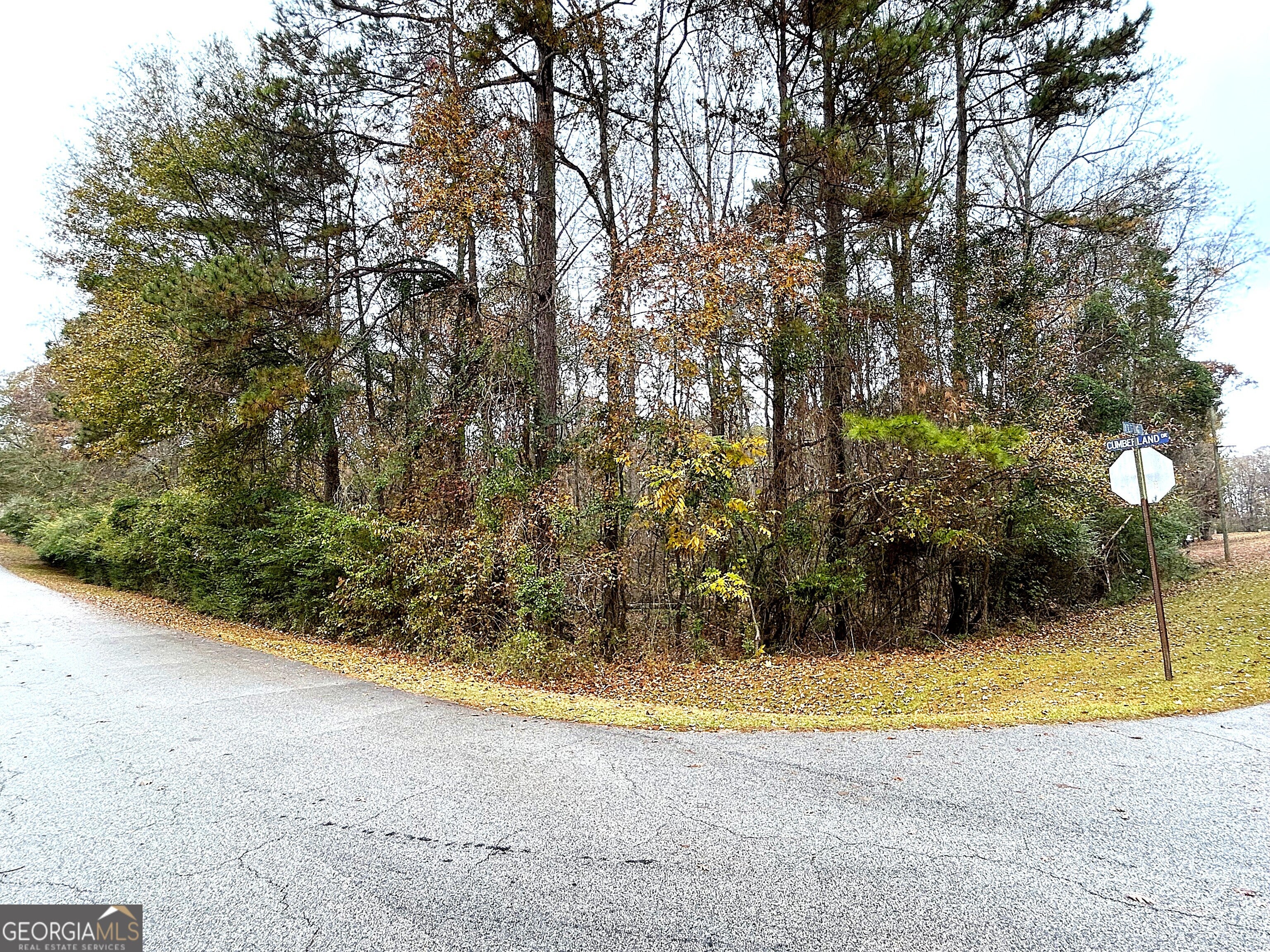 101 Ivy Springs DR - Photo 4
