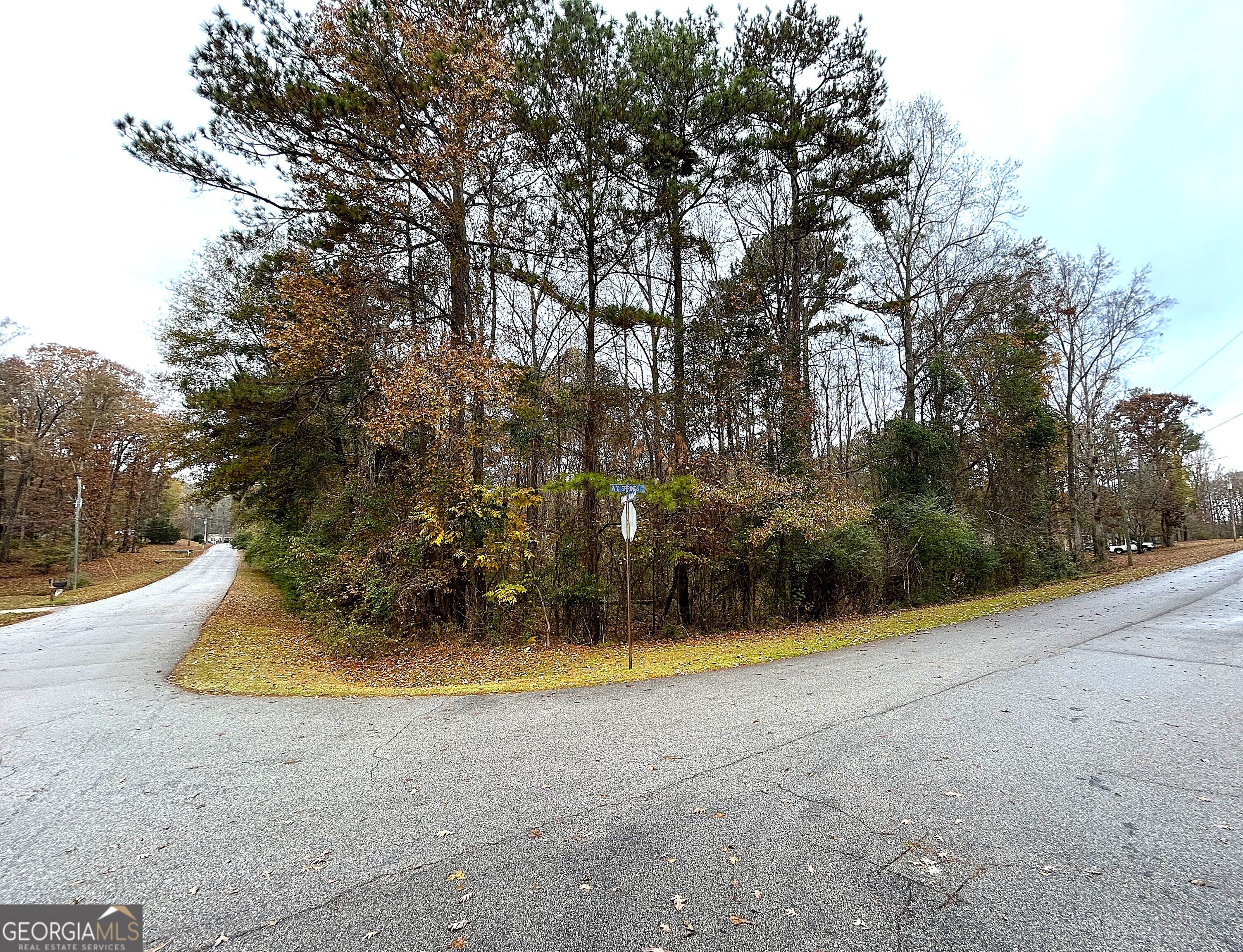 101 Ivy Springs DR - Photo 2