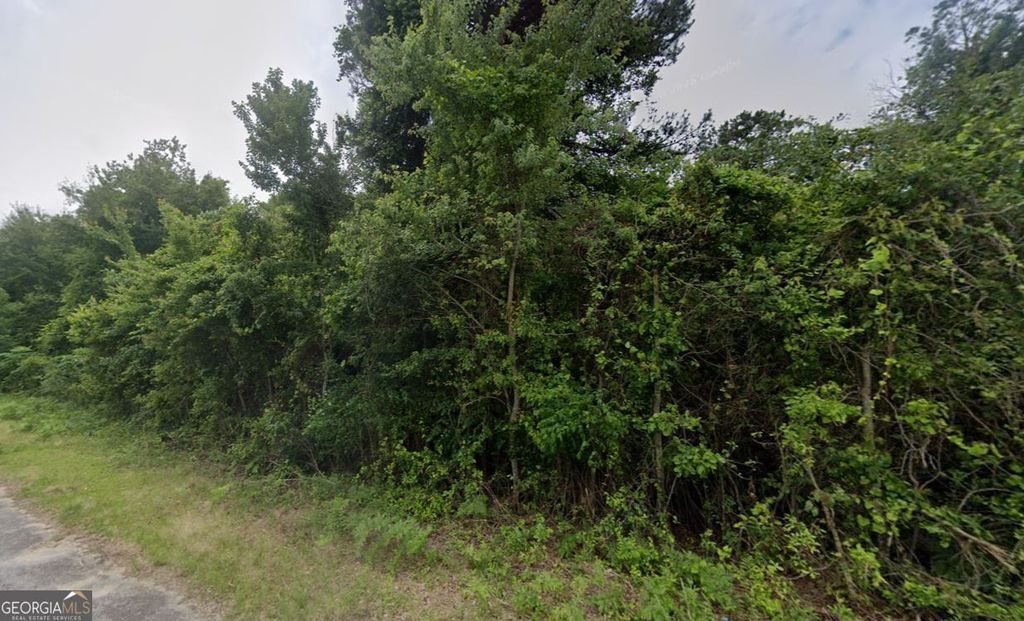 Photo of 7072 Chant Road, Lizella, GA 31052 (MLS # 10711335)