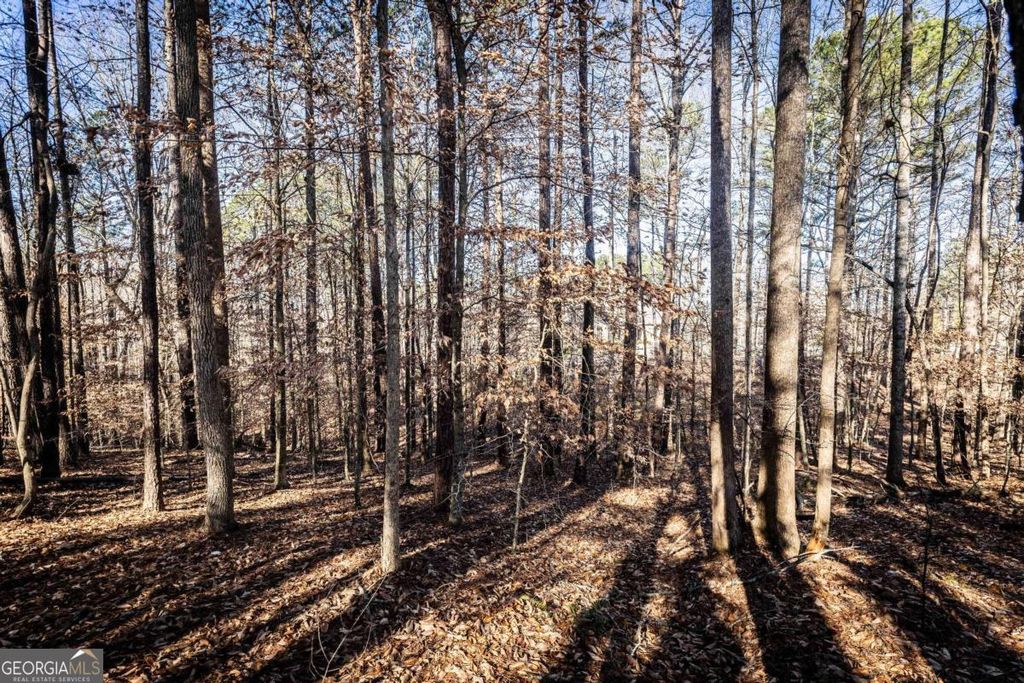 Photo of 1001 Overlook Terrace, Ball Ground, GA 30107 (MLS # 10685117)