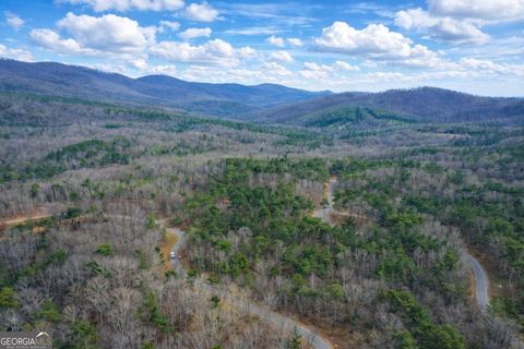 Photo of 2834 Twisted Oak Road, Ellijay, GA 30536 (MLS # 10672556)