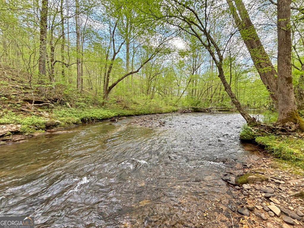 Photo of 5 Spiva Cove Road, Blairsville, GA 30512 (MLS # 10811079)