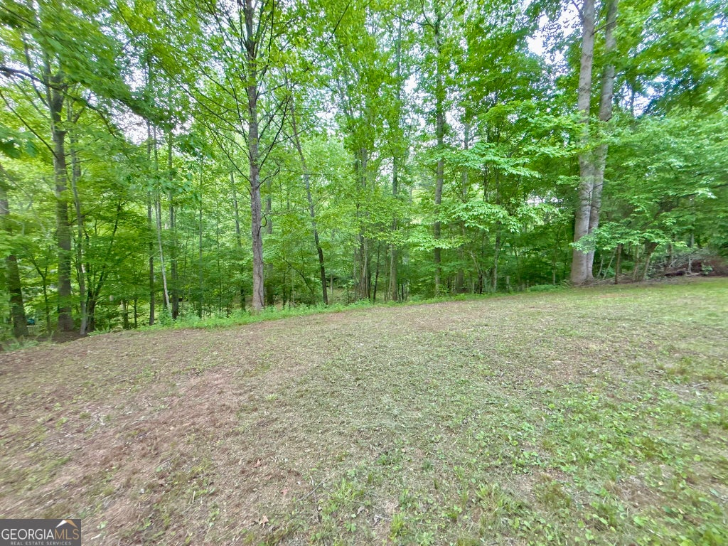 Photo of 5 Spiva Cove Road, Blairsville, GA 30512 (MLS # 10811079)
