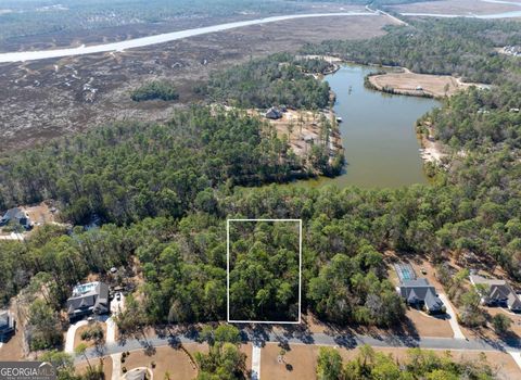 Photo of 140 Bluebill Trail, Brunswick, GA 31523 (MLS # 10680575)