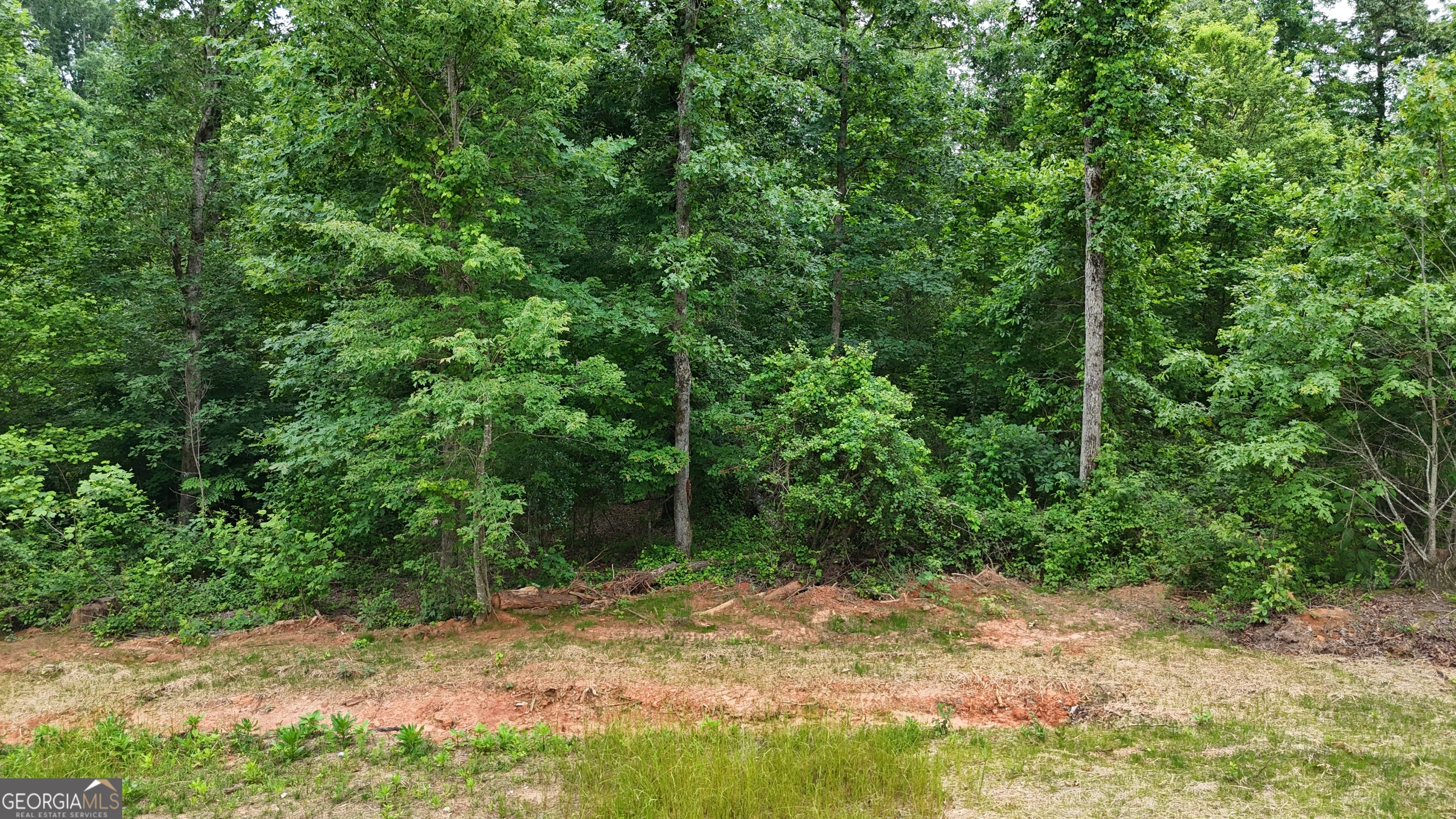 Discover the perfect blank canvas for your dream home on this level, usable lot with light restrictions. Conveniently located for an easy commute to White County and Hall County, this prime property offers quick access to Hwy 365/441. Whether you're looking to build your ideal residence or invest in land with limitless potential, this location provides the perfect foundation. Light Restrictions-No Mobiles, Modulars or Manufactured Homes.