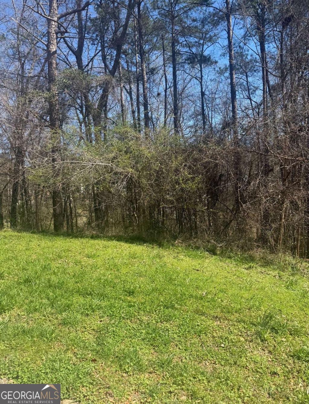 Photo of 3740 Mountain Cove Road, Snellville, GA 30039 (MLS # 10721886)