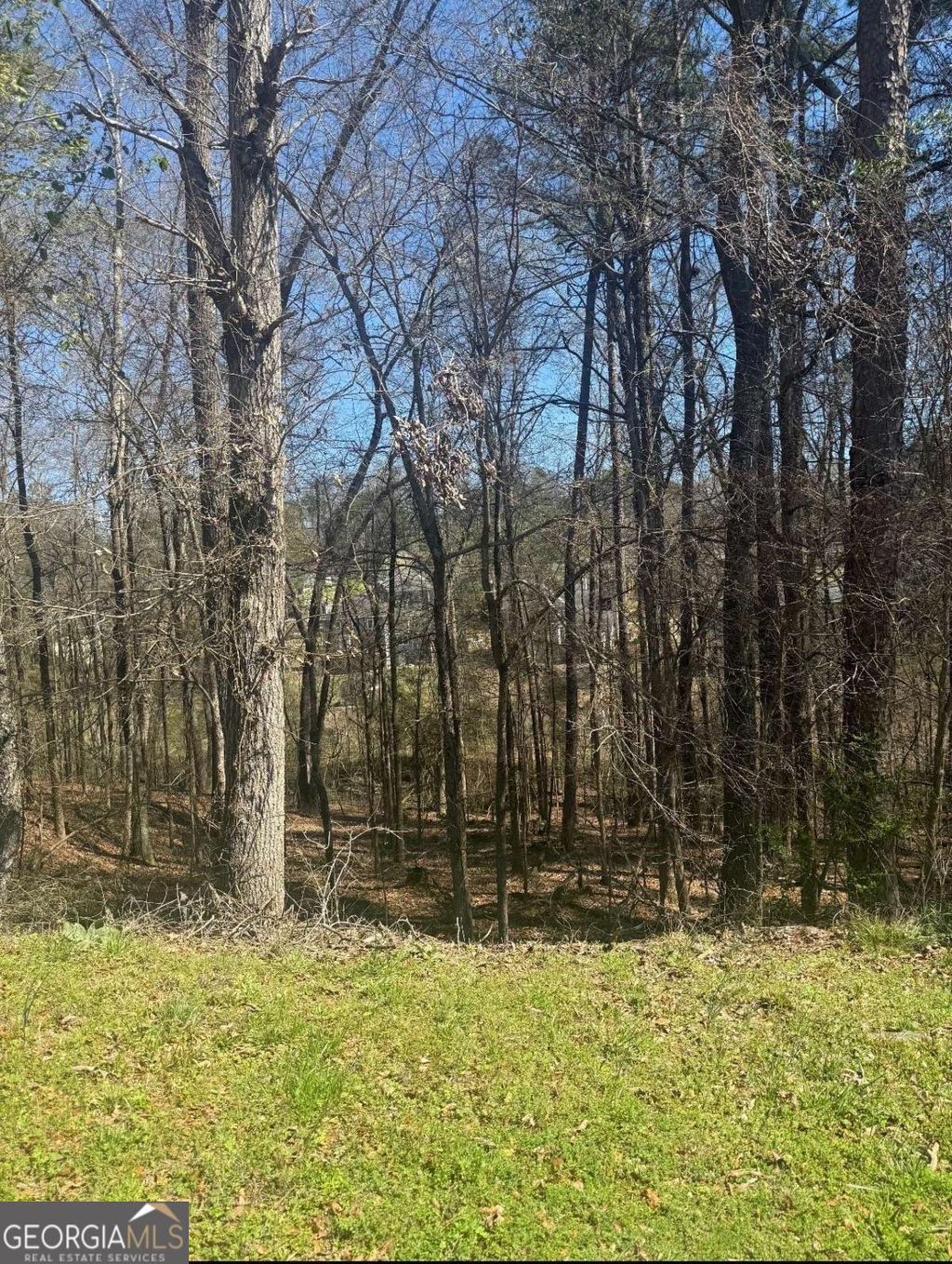 Photo of 3740 Mountain Cove Road, Snellville, GA 30039 (MLS # 10721886)