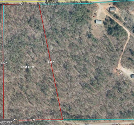 0 FLOYD ROAD, FORSYTH, GA 31029 - Image 5578e1dcda2ebb7078f705ad4bd4e01c/2160831495