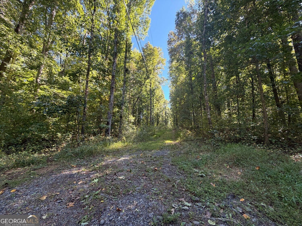 Photo of 6187 SW Stoney Creek Lane, Mableton, GA 30126 (MLS # 10882562)