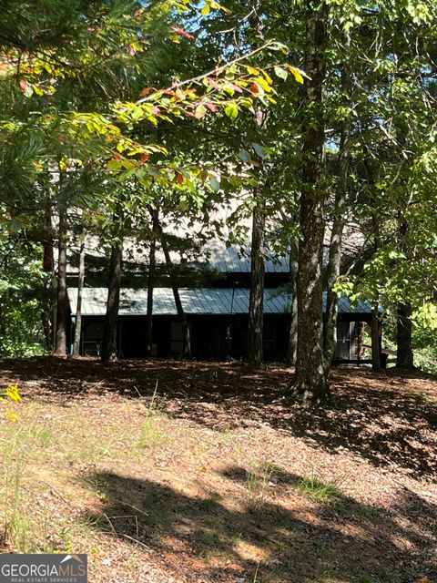 A home in Mineral Bluff