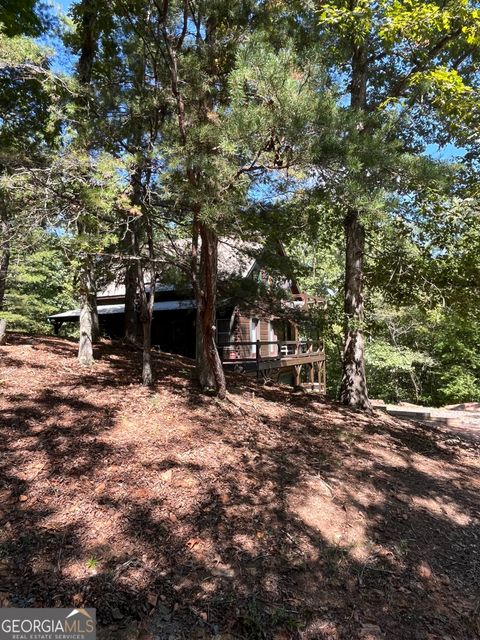 A home in Mineral Bluff