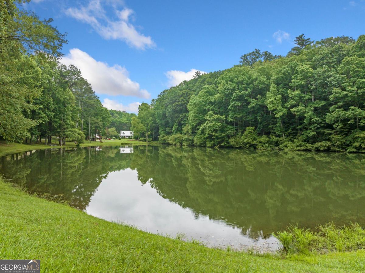 65 Dogwood LN