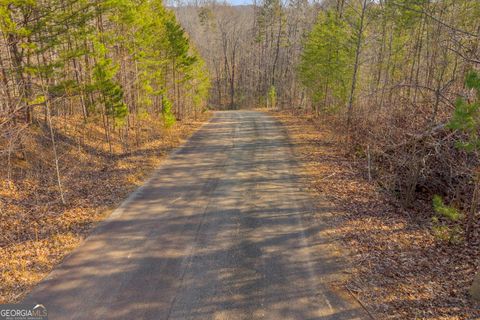 0 Planters Creek Baldwin GA 30511