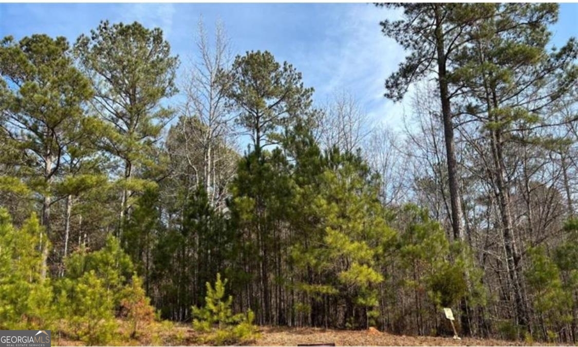 Discover the perfect setting for your dream home or weekend retreat on this beautiful 3.03-acre wooded lot in the sought-after Sailview community. Residents enjoy gated security and a host of amenities, including a community dock, beach, playground, walking trails, and common areas. With Lake Oconee just moments away, you'll have easy access to boating, fishing and all the lake life has to offer. The property is also conveniently located near Sugar Creek Marina and boat storage. Offering both privacy and accessibility, this lot provides an excellent opportunity to experience the best of lake living.