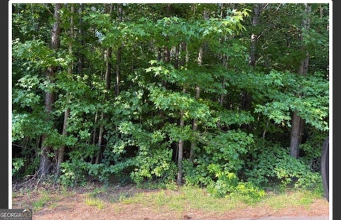 Photo of 143 Oak Leaf Dr, Carrollton, GA 30116 (MLS # 10789523)