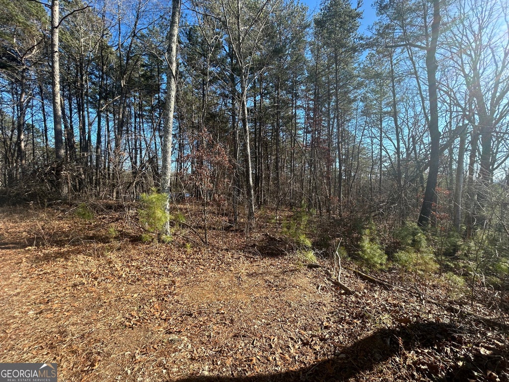 Photo of 0 Highland Tree Court, Ranger, GA 30734 (MLS # 10788334)