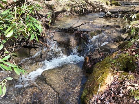 Photo of 44 Synacia Drive, Mineral Bluff, GA 30559 (MLS # 10713440)