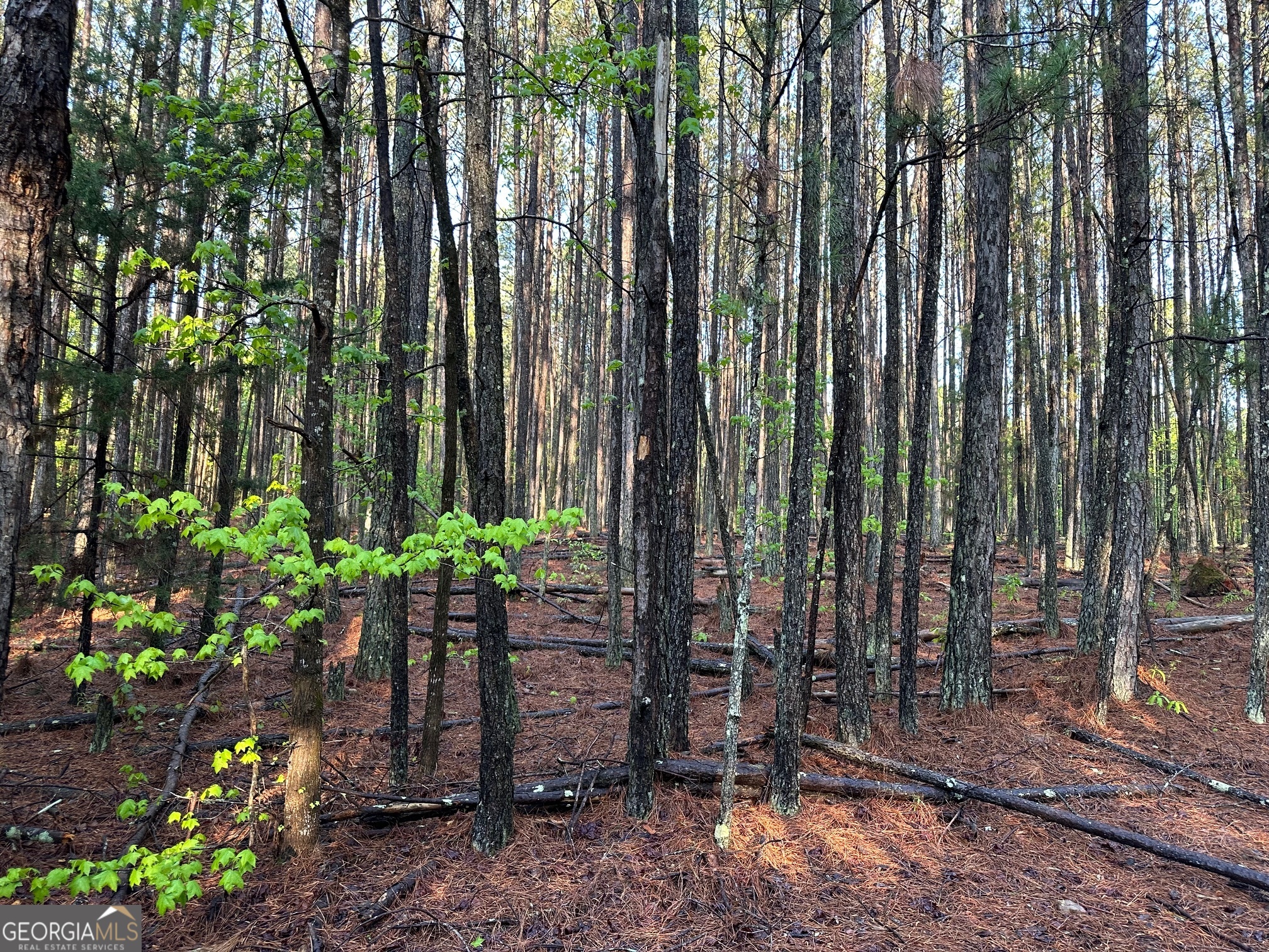 1433 Cleveland Farm RD