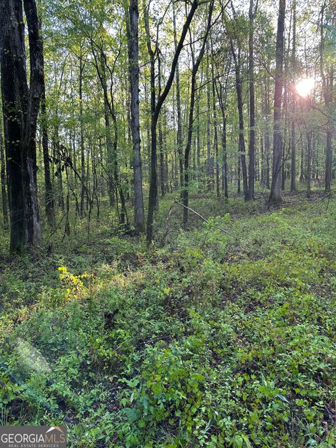 Photo of 1433 Cleveland Farm Road, Locust Grove, GA 30248 (MLS # 10635809)