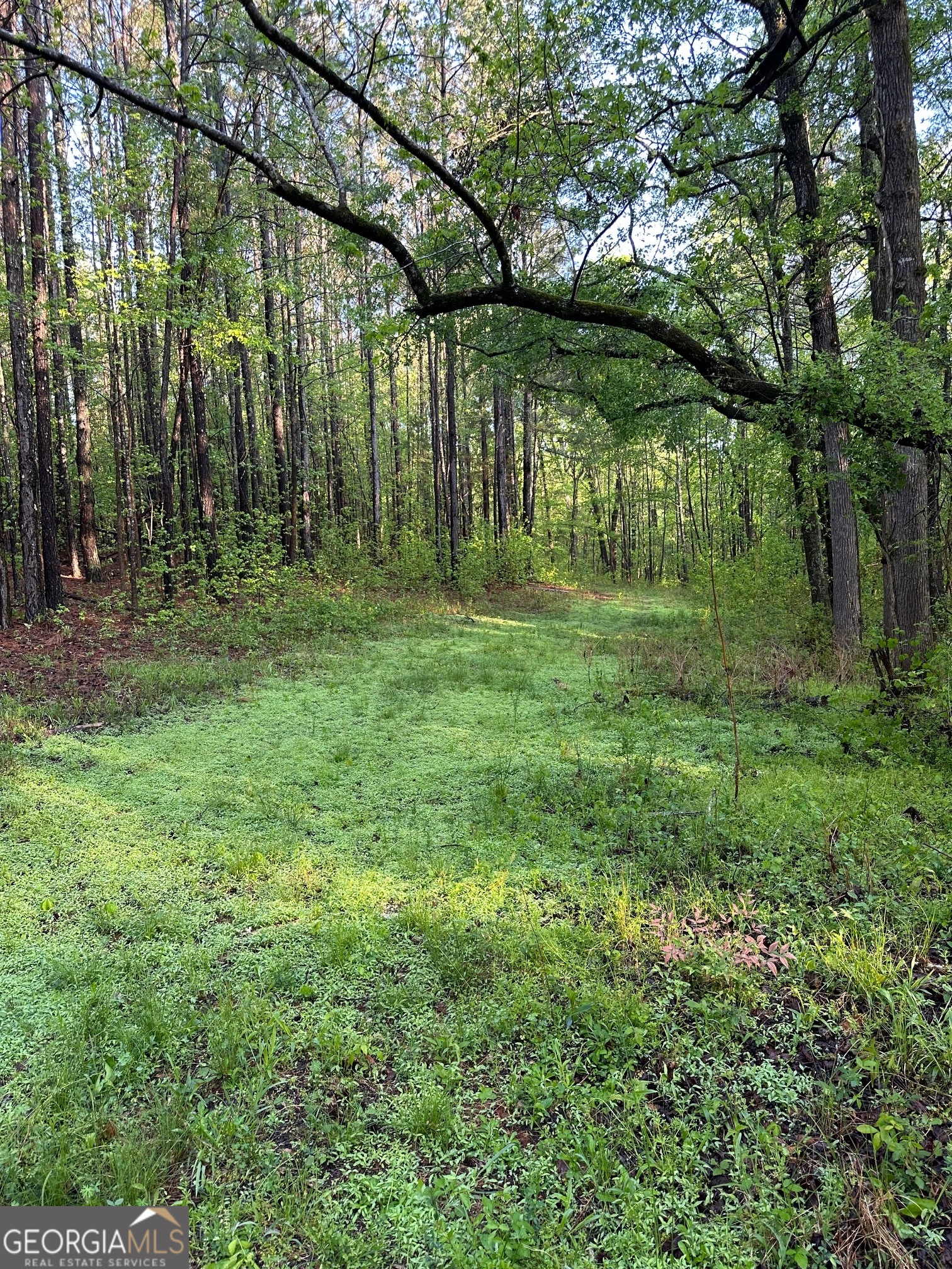 1433 Cleveland Farm RD