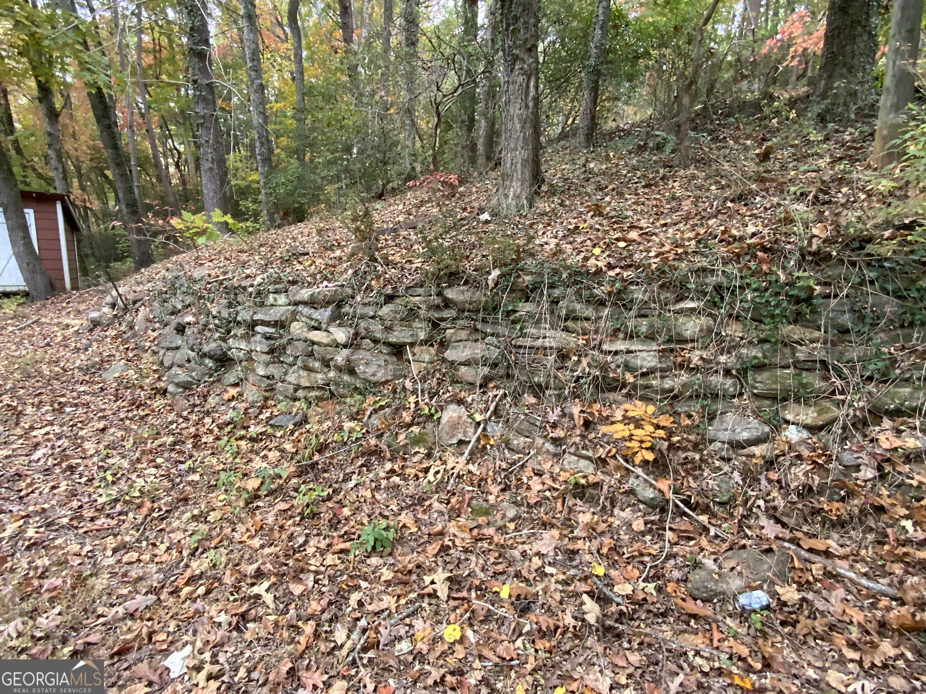 224 Magnolia DR