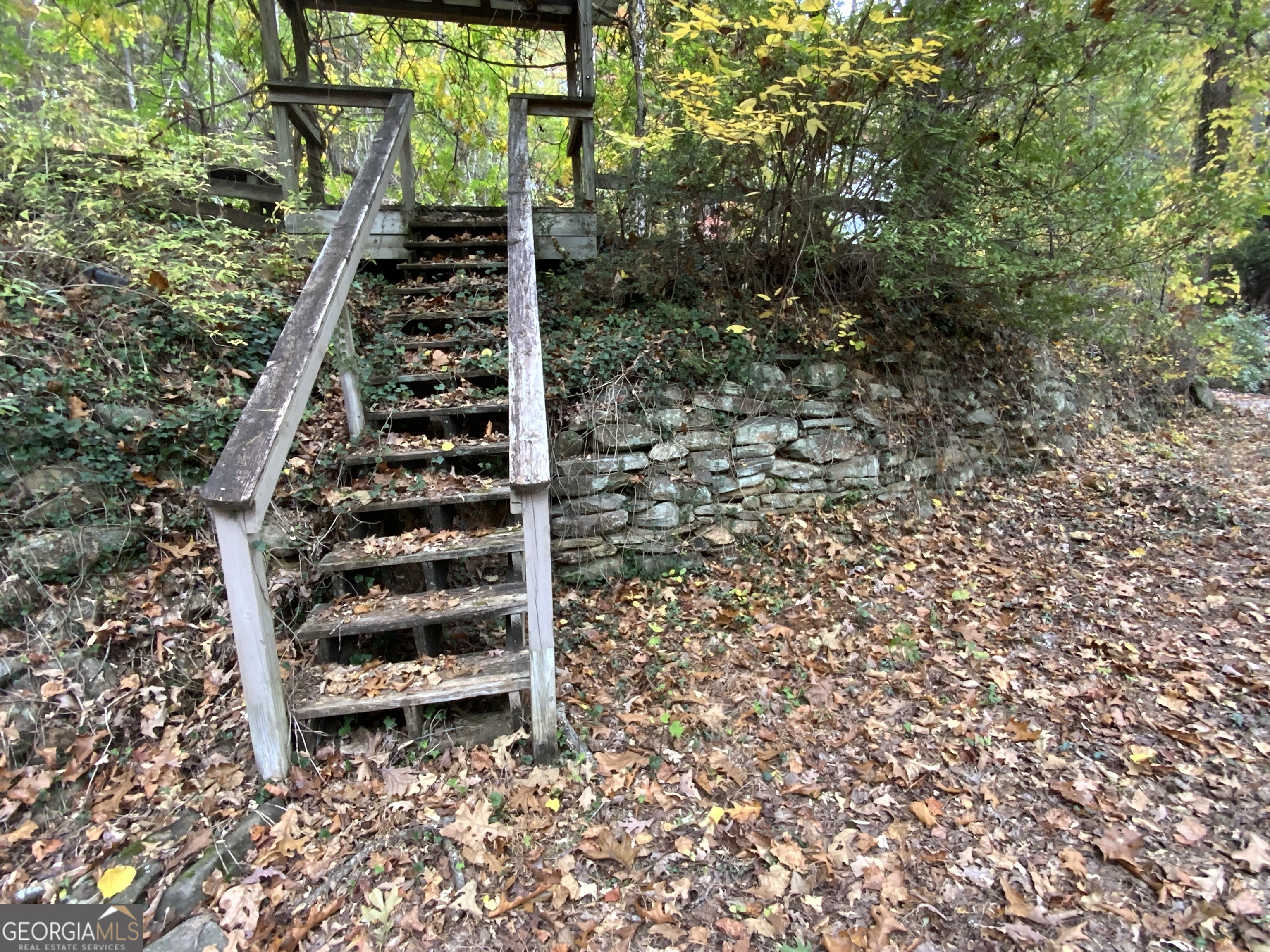 224 Magnolia DR