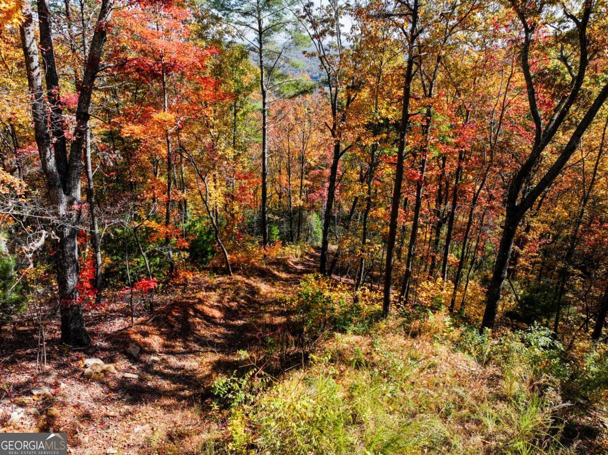 LOT 46 Utana Bluffs TRL