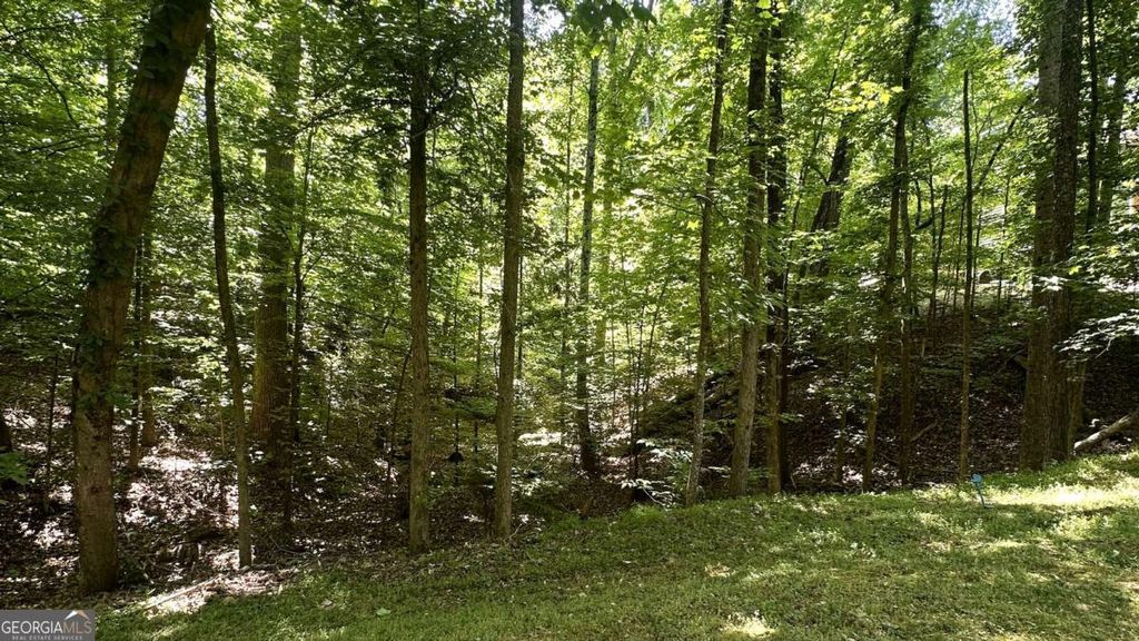 Photo of 3641 Frederica Road, Berkeley Lake, GA 30096 (MLS # 10764959)
