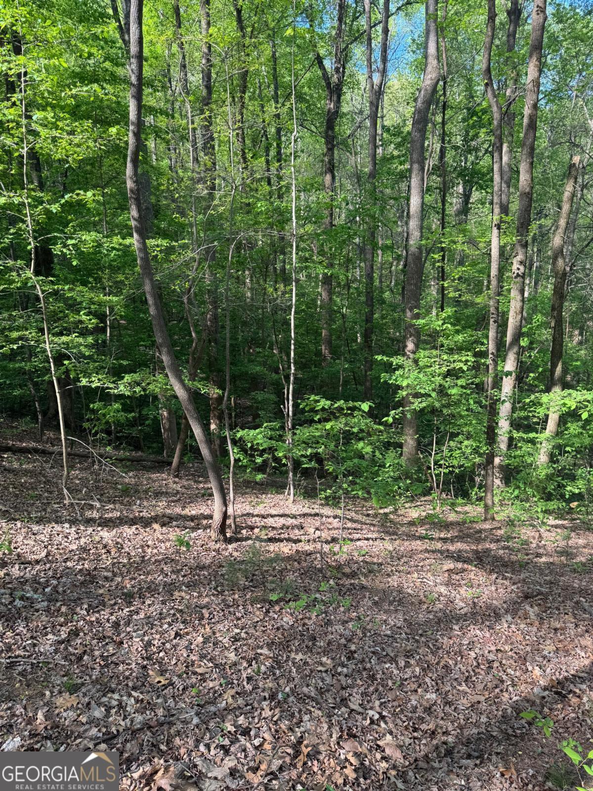 0 Mountain View CT