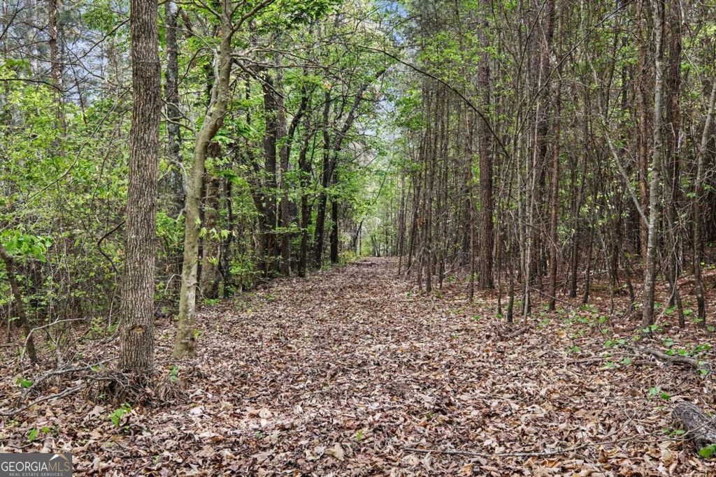 Photo of 5429 Oak Valley Road, Toccoa, GA 30577 (MLS # 10732066)