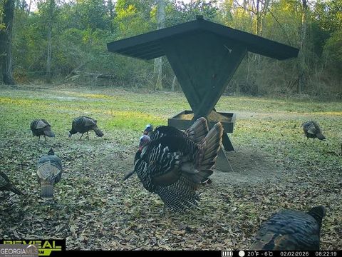 00 CHARLES ST VIENNA GA 31079