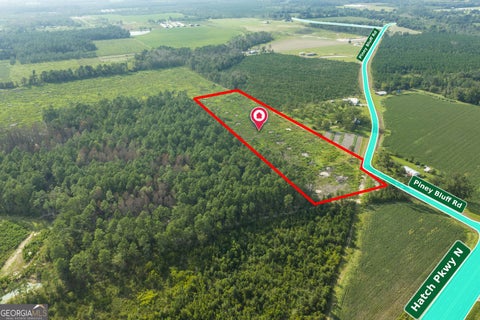 Photo of 0 PINEY BLUFF RD, Appling, GA 31513 (MLS # 10846951)