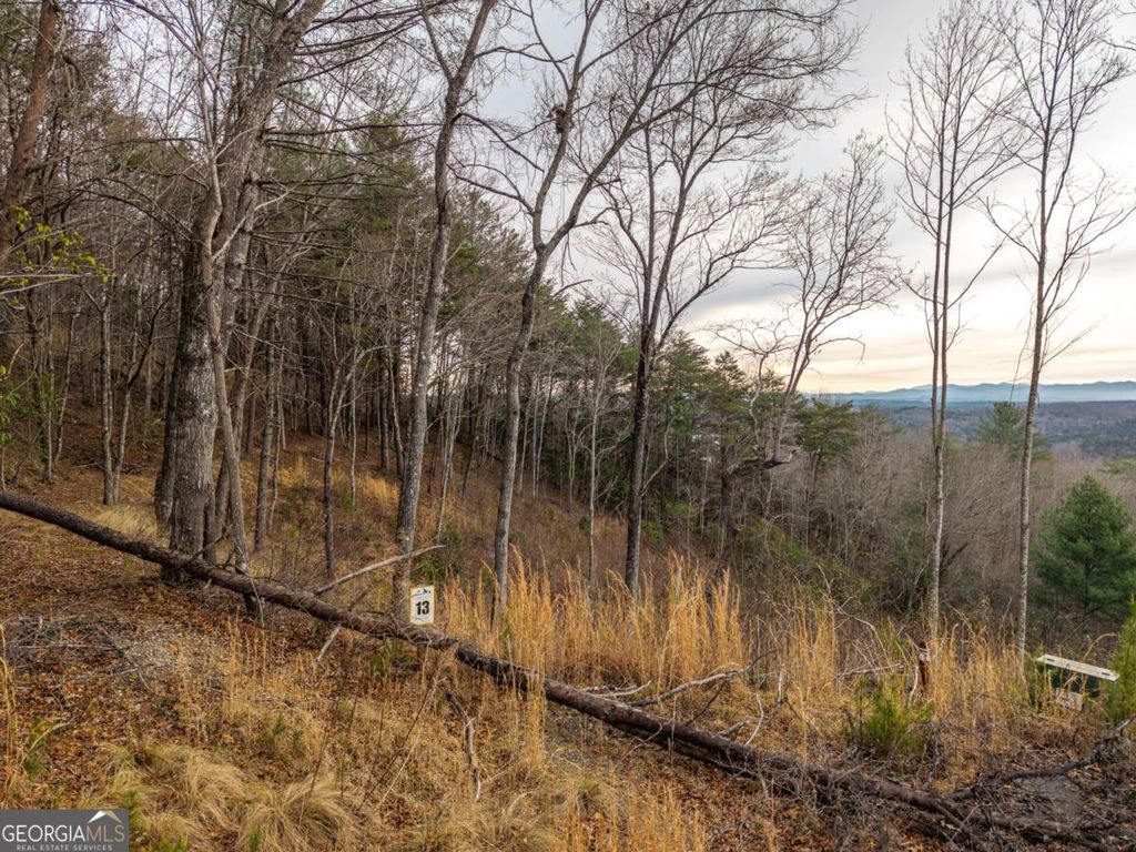 Photo of 13 White Oak Circle #13, Blue Ridge, GA 30513 (MLS # 10719363)