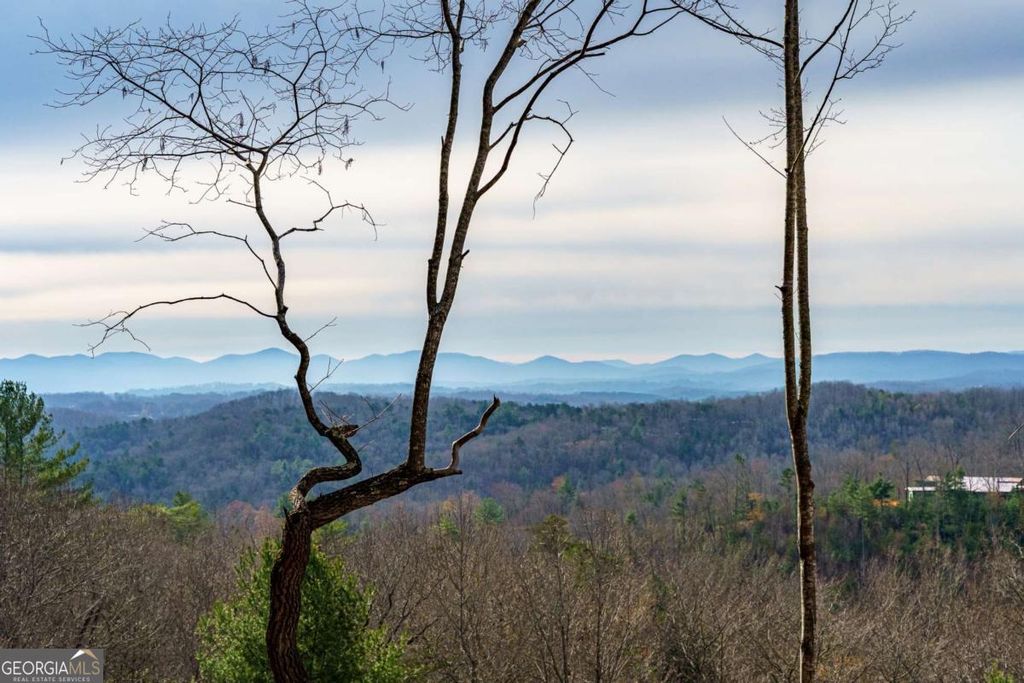 Photo of 13 White Oak Circle #13, Blue Ridge, GA 30513 (MLS # 10719363)